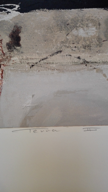 Ron van der Werf, zeefdruk op papier, Titel: Terra II kopen? Bied vanaf 75!