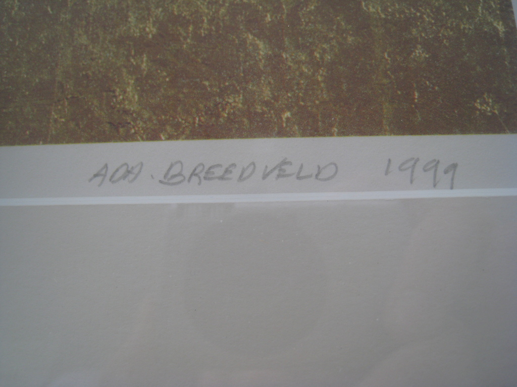 Ada Breedveld zeefdruk ingelijst kopen? Bied vanaf 75!