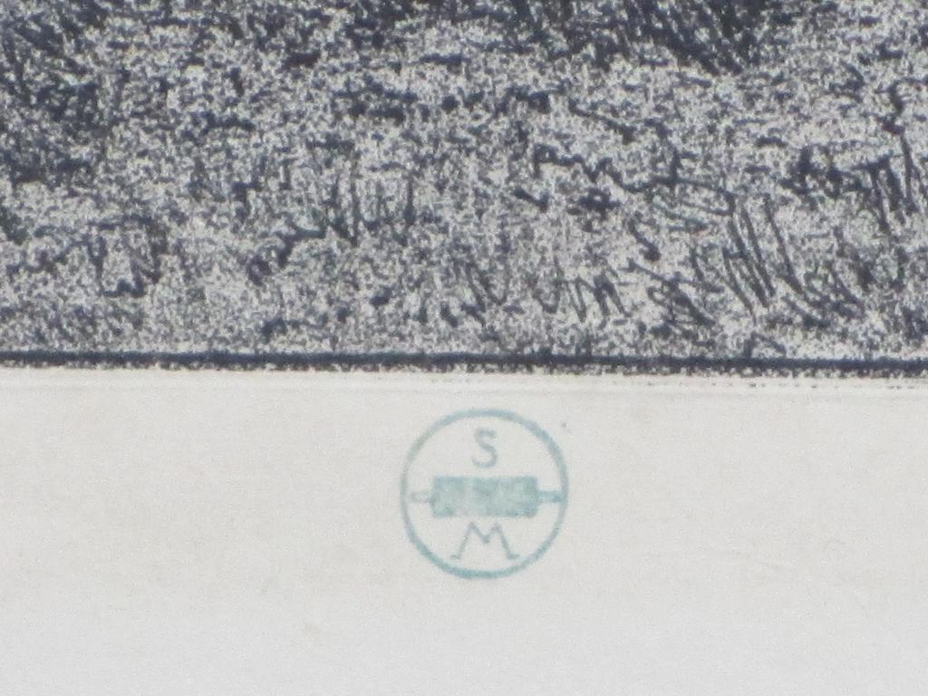 Simon Moulijn, Meer, Lithografie 1928 kopen? Bied vanaf 65!