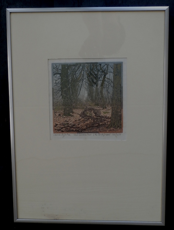 Siemen Dijkstra - ingelijste houtdruk: Het groene bos(de Berk) - 2001 kopen? Bied vanaf 125!