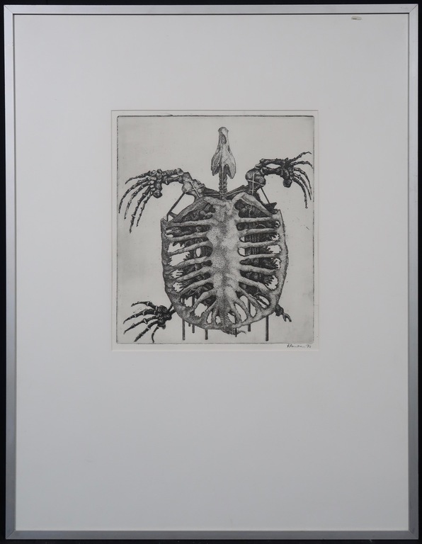 Onbekend gesigneerd: Ets, Waterschildpad - Ingelijst kopen? Bied vanaf 1!