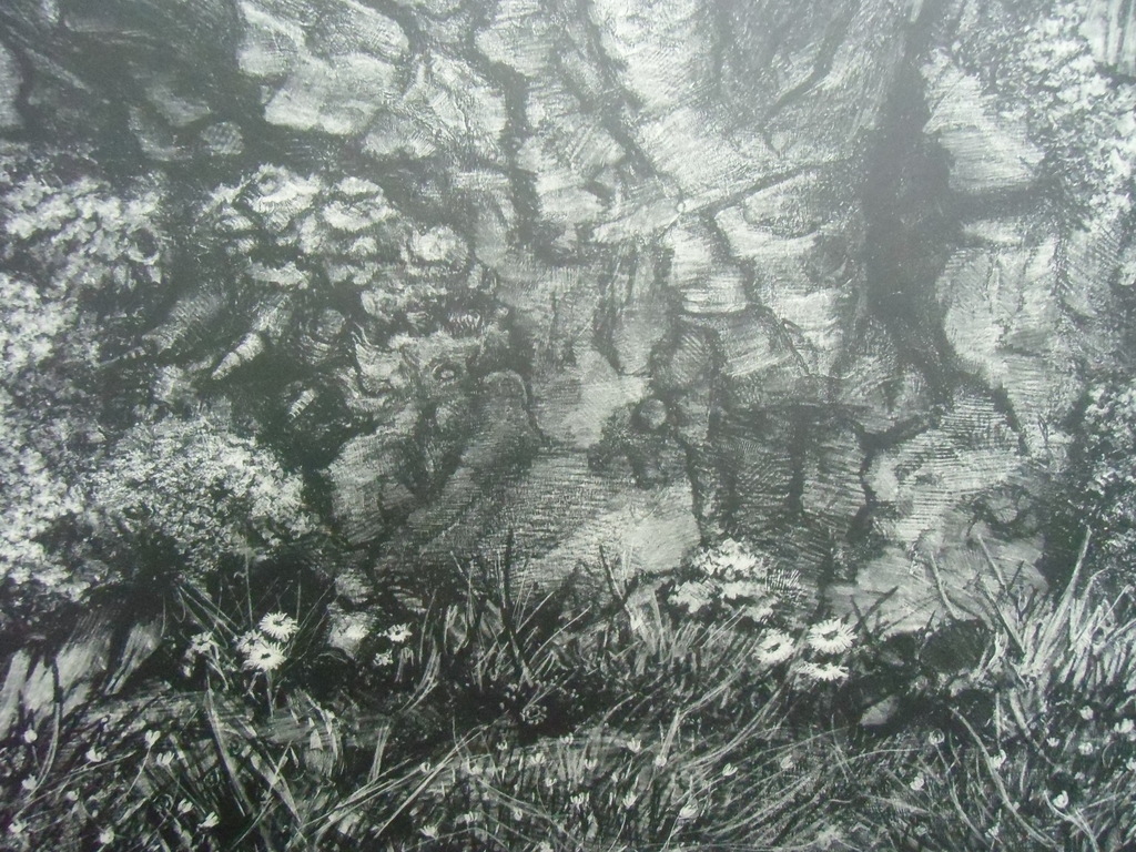 BOOMSCHORS   ///   LITHO VAN AART VAN DOBBENBURGH kopen? Bied vanaf 30!