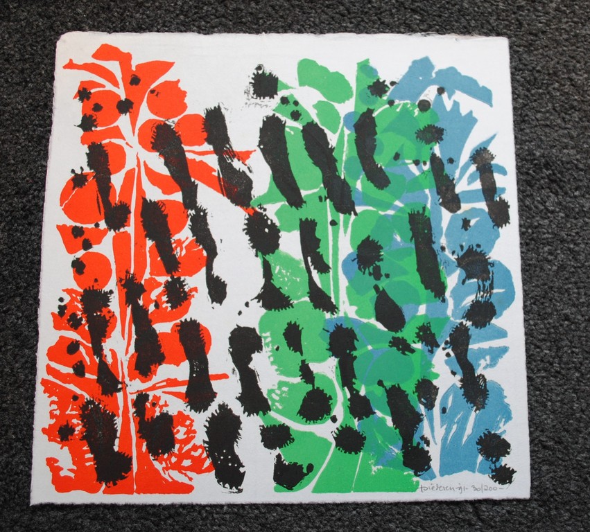 Jef Diederen - 4 kleuren lino op rijstpapier - 1991 + boek - luxe editie kopen? Bied vanaf 55!