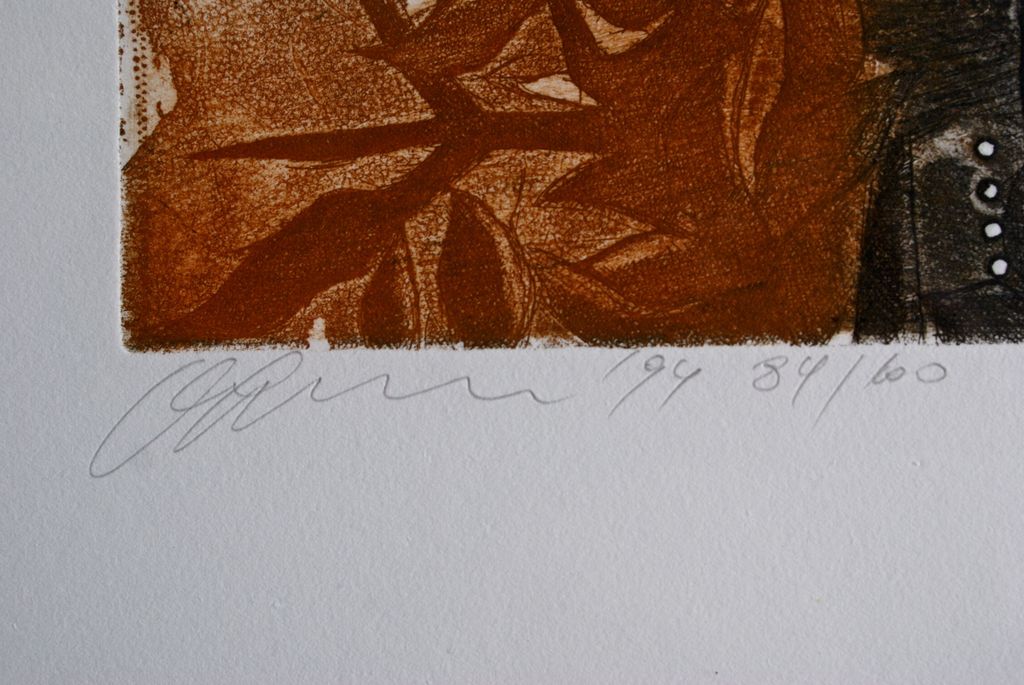 "Nyctea Scandiaca" (Sneeuwuil) Kleurenets 1994 kopen? Bied vanaf 20!