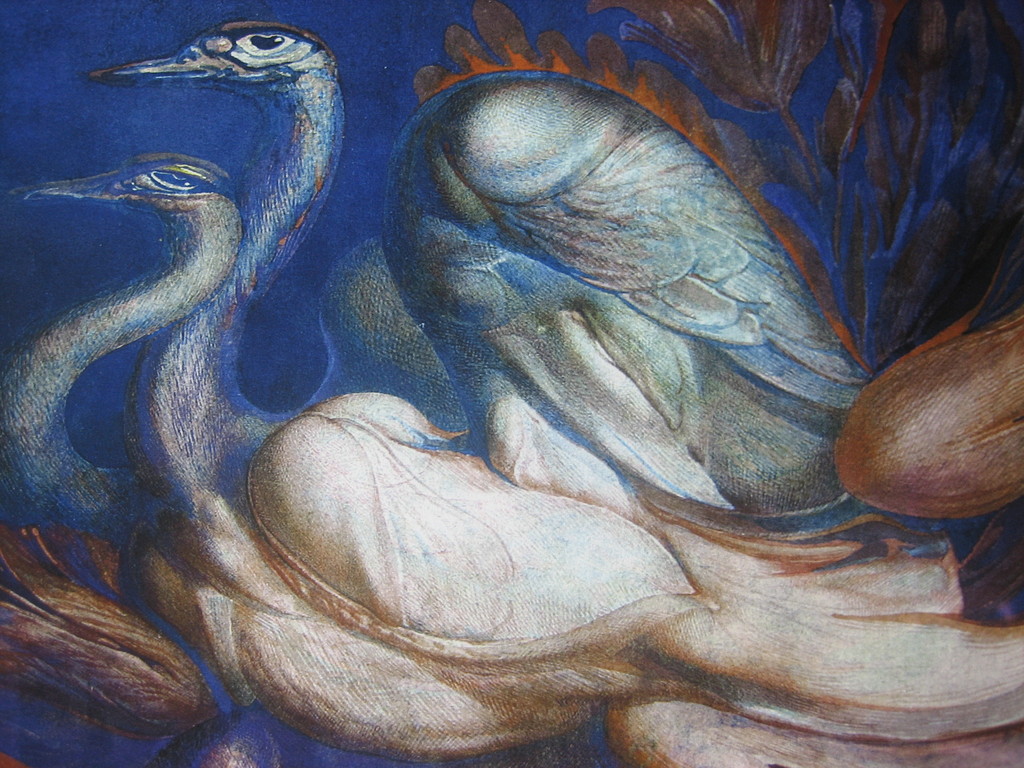 Ernst Fuchs - Die Schwanenreise - Giclee - Handgesigneerd - 2012 kopen? Bied vanaf 55!