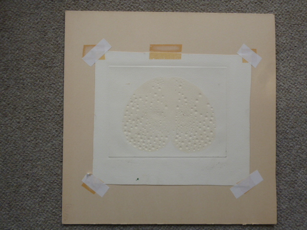 Harry van Kruiningen - kleurenets - Copulatie kopen? Bied vanaf 50!