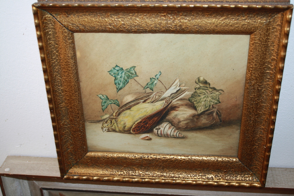 Kunstenaar 1854 1936 - AQUAREL DODE VINK en SCHELP kopen? Bied vanaf 75!