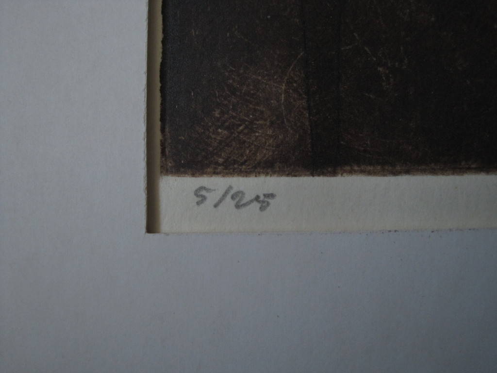 Dromerige Grafiek van Gerda Smit "grote Familie" in zeer beperkte oplage van 25! kopen? Bied vanaf 1!