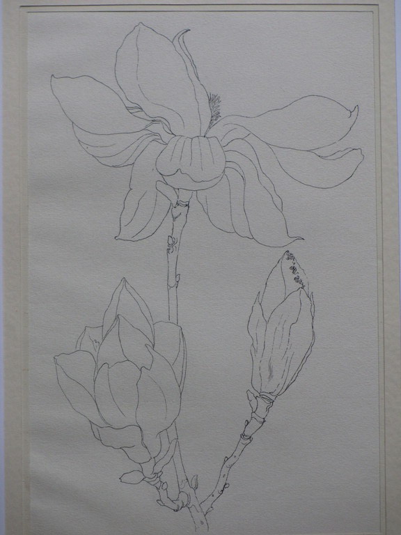 Hendrik Voskuijl, Bloeiende magnoliatak, Tekening kopen? Bied vanaf 20!