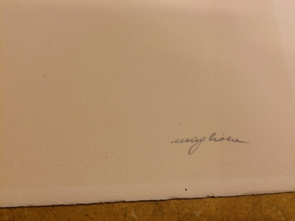 Milvia Maglione,titel Feuille, handgesigneerde litho, oplage E.A. XiV/XX, 1995 kopen? Bied vanaf 20!