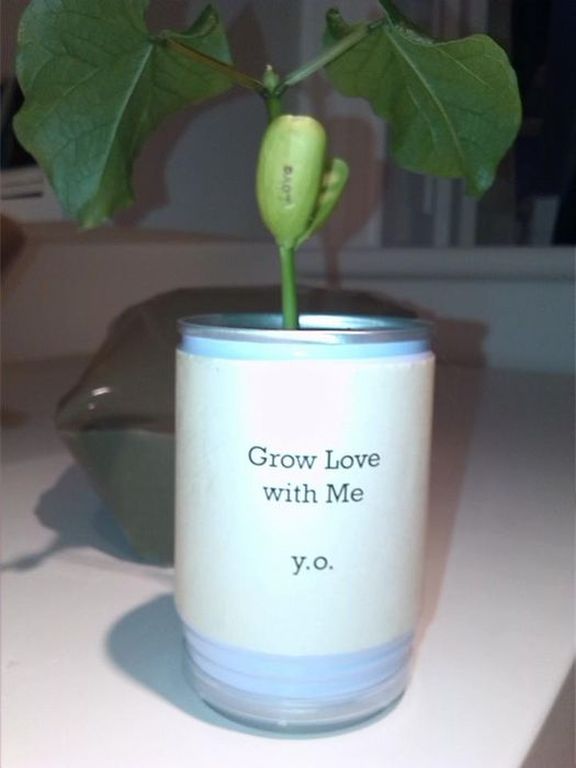 Yoko Ono - Grow Love with Me  kopen? Bied vanaf 100!