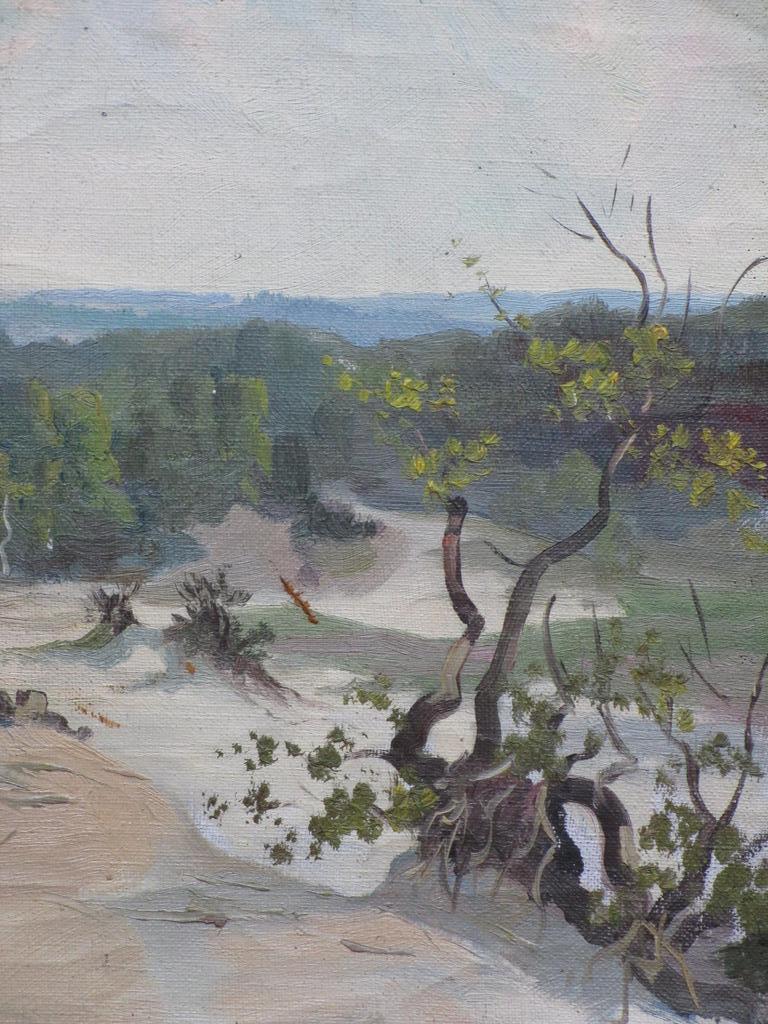 Pierre Hoeks, Duinlandschap, Olie op doek kopen? Bied vanaf 40!