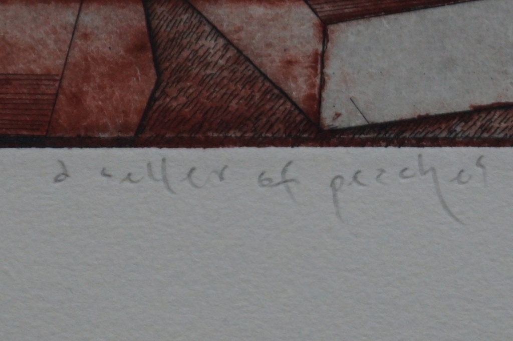 Mark Visione - gesigneerde ets - a reflex of peeches - 25 ex. kopen? Bied vanaf 10!