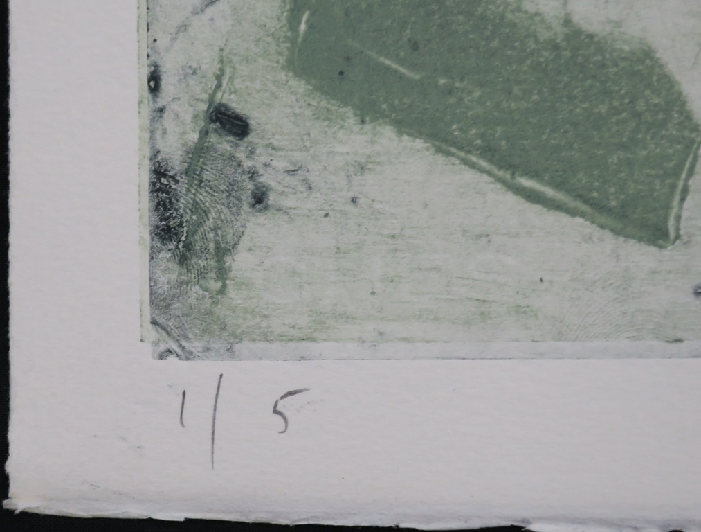 Wim Zurne: Litho, Zwemster kopen? Bied vanaf 1!