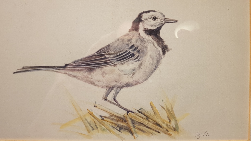 Sjoerd Kuperus, vogel, gouache kopen? Bied vanaf 100!