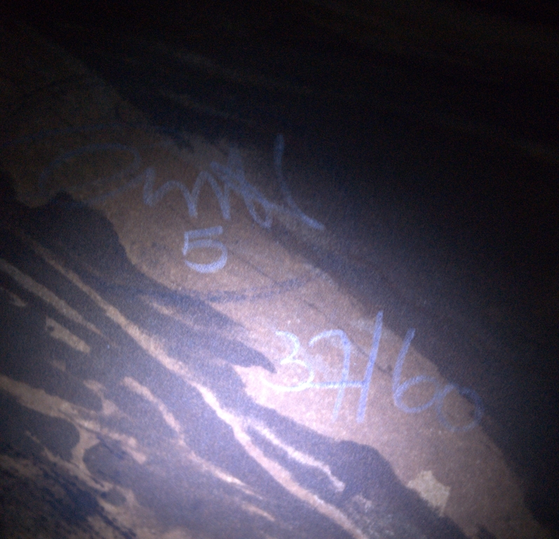 grote litho 1975-- tempelcomplex -- oplage 60  kopen? Bied vanaf 40!