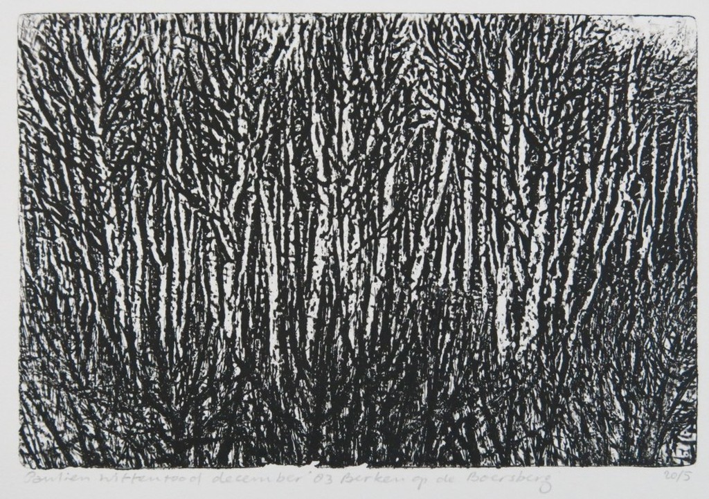 Paulien Wittenrood: Ets, Berken op de Boersberg kopen? Bied vanaf 20!