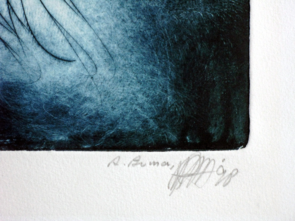 AD ARMA - groot abstrace ets uit oplage van 40 - GESIGNEERD. kopen? Bied vanaf 100!