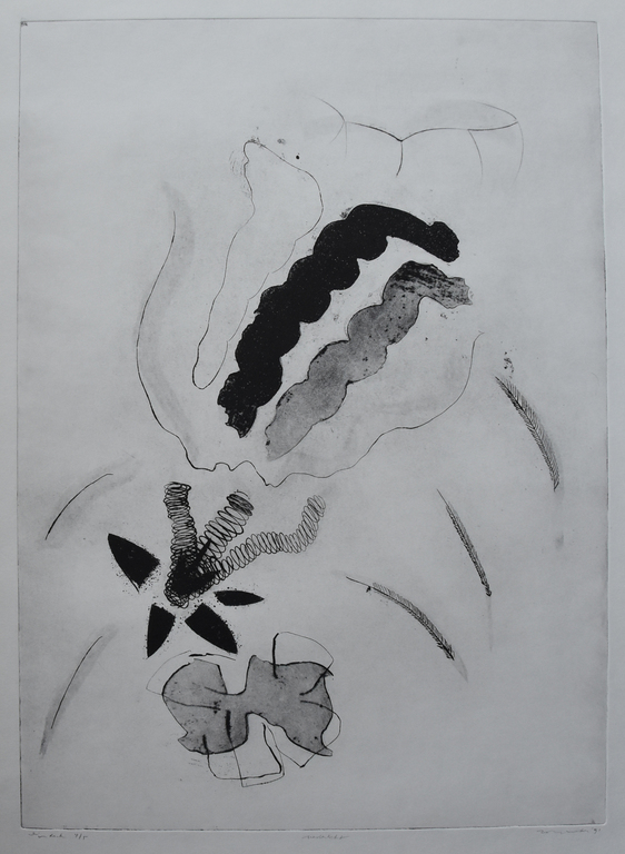 Zoltin Peeter , ets # VEDERLICHT # 1991, gesigneerd, genummerd 4/5, mint kopen? Bied vanaf 45!