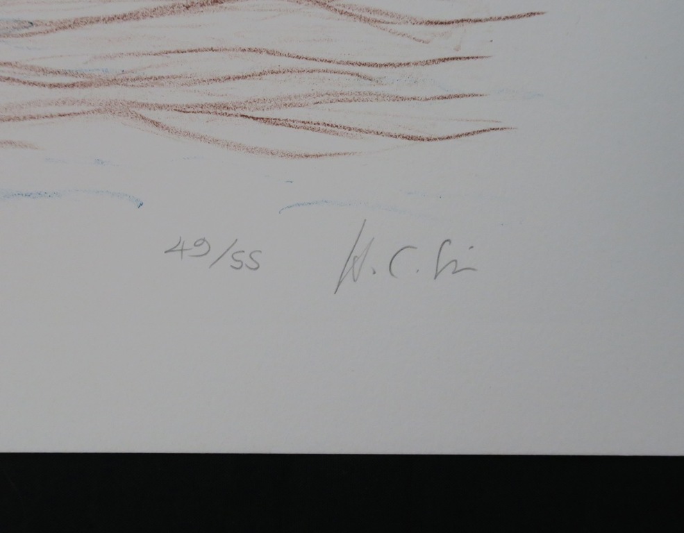 Lot met 2 werken van Helen Frik: Litho, Wildebeesten, Spookjes kopen? Bied vanaf 1!