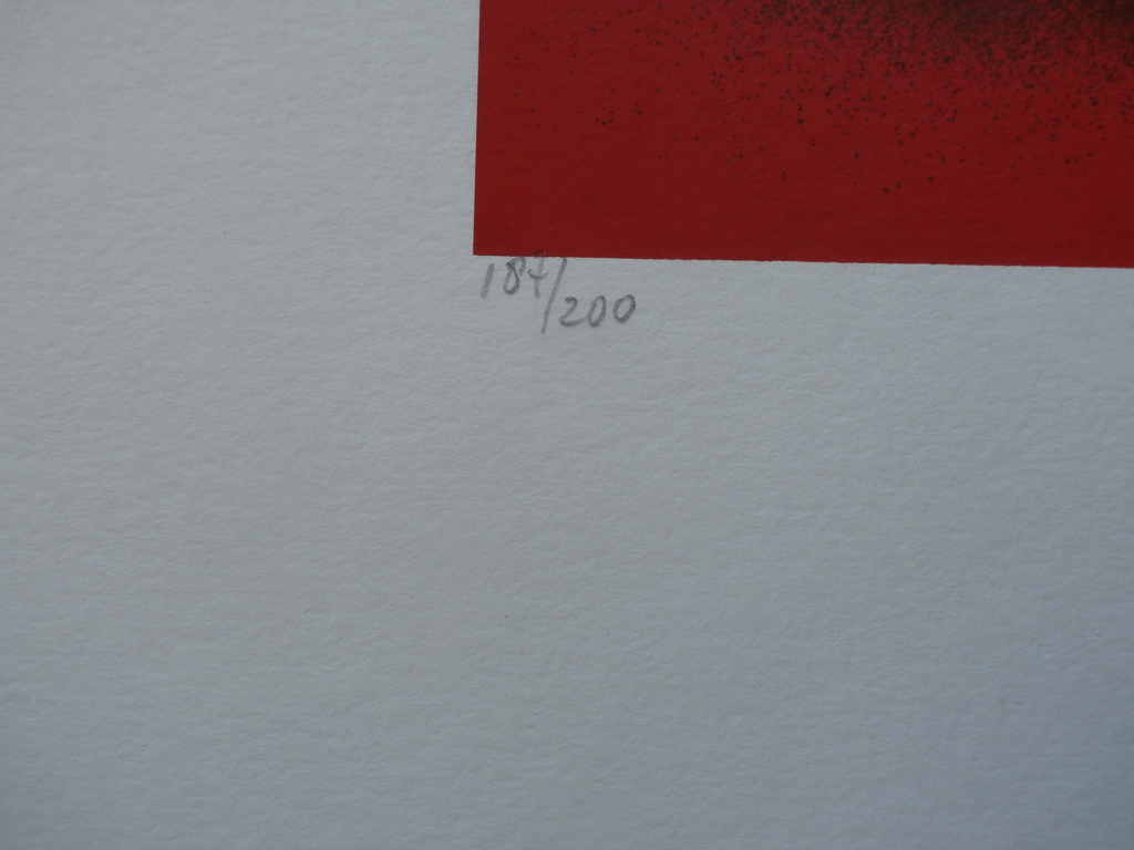 Herman Brood - Herman Brood - grote zeefdruk: Naked Beaty kopen? Bied vanaf 399!