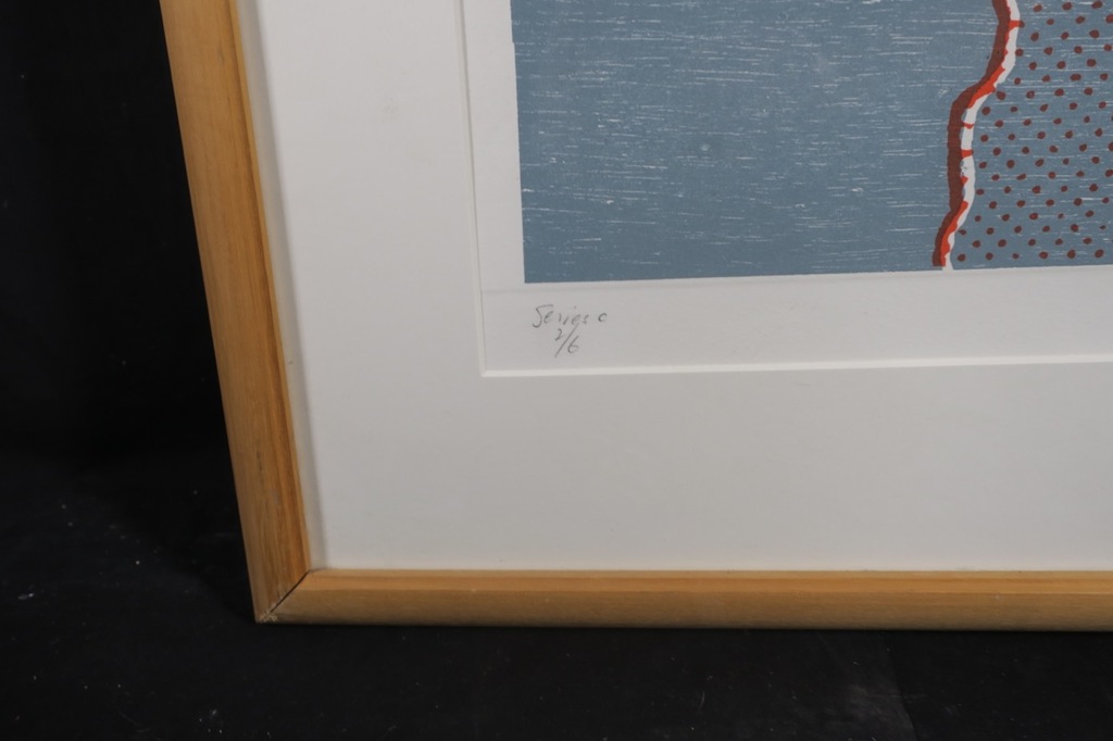 Angelo Evelyn: Houtsnede en Litho, Keys to global warming - Ingelijst (Groot!) kopen? Bied vanaf 1!