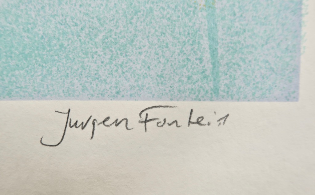 Jurjen Fontein: Zeefdruk, Klaproos kopen? Bied vanaf 1!