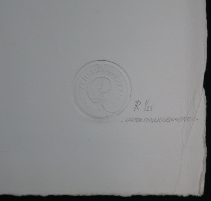 Ron Rooymans: Ets, Karton en Vliegenmepper kopen? Bied vanaf 20!