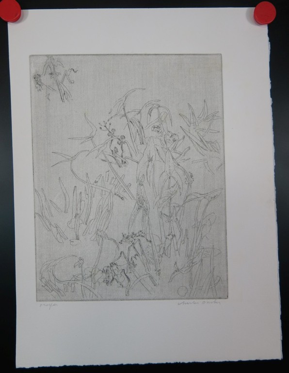 Charles Donker: Ets, Plantenstudie kopen? Bied vanaf 100!