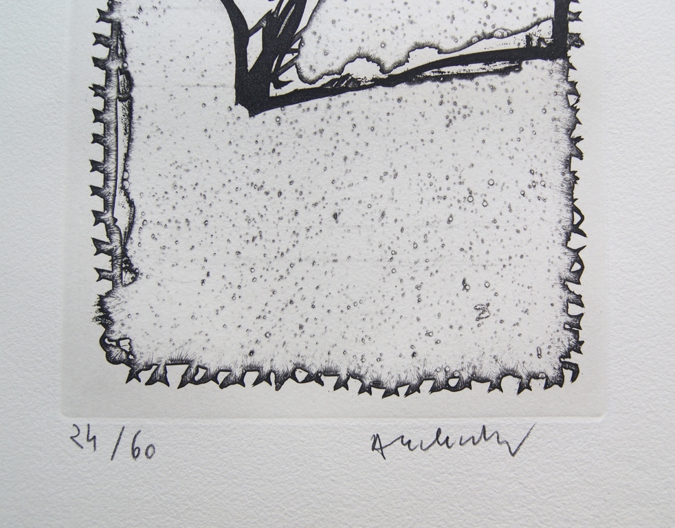 Pierre Alechinsky ets 'L'épreuve' - 1989 - oplage 60 ex. kopen? Bied vanaf 325!