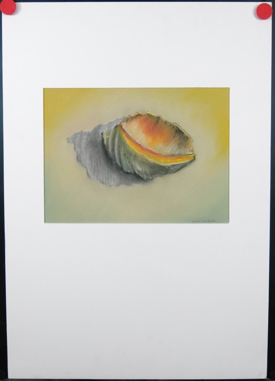 Onbekend gesigneerd: Pastel op papier, Schelp kopen? Bied vanaf 1!