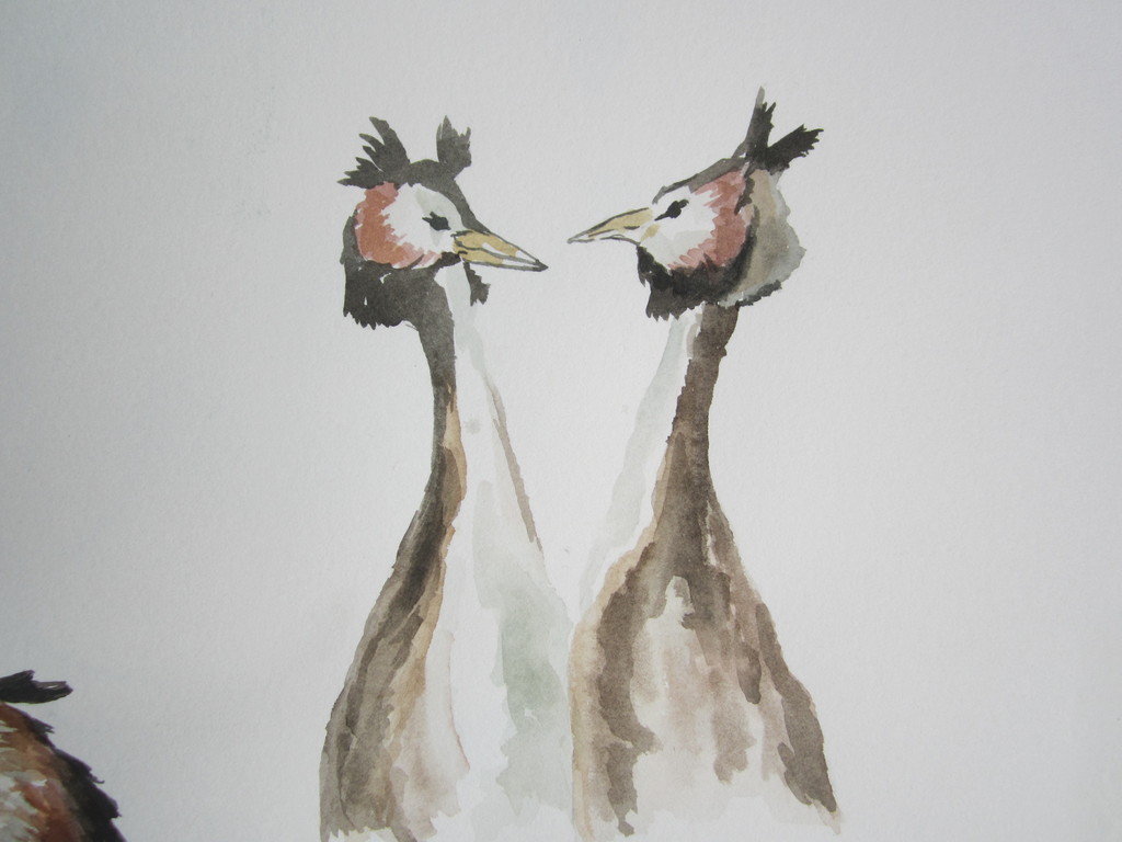 André Tigchelaar: Aquarel, Futen kopen? Bied vanaf 1!