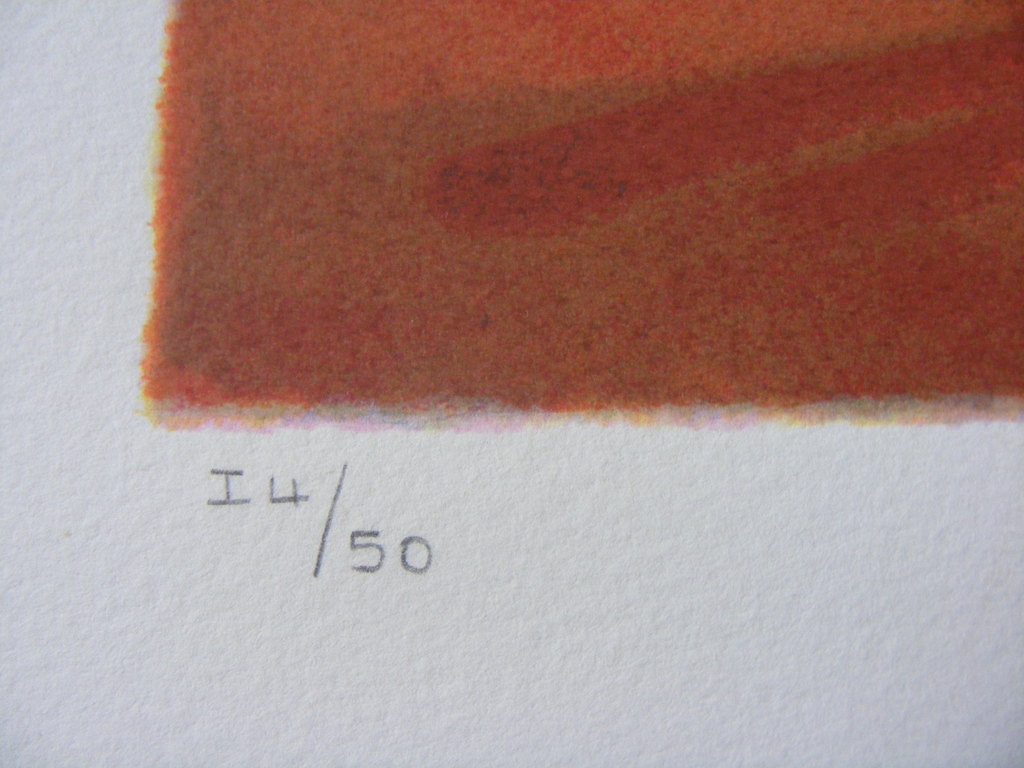 Mark Spain, "Life Study II", gesigneerde zeefdruk, oplage 50 kopen? Bied vanaf 110!