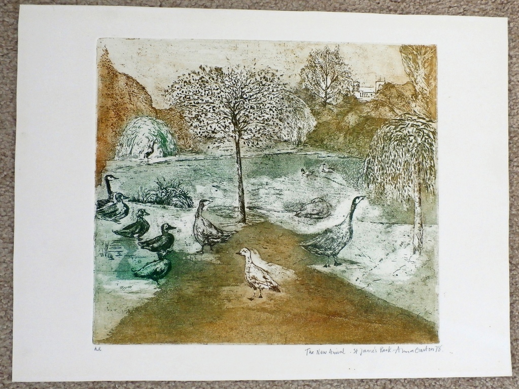 Onbekende kunstenaar - ets: The new arrival St Jame's Park kopen? Bied vanaf 1!