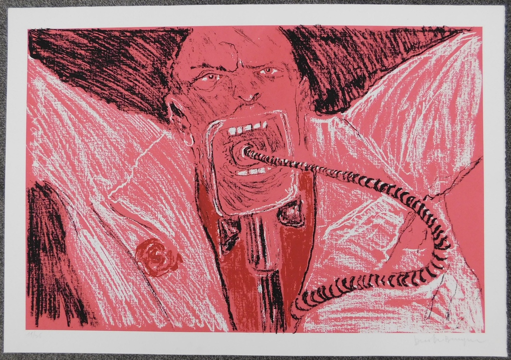 Dees de Bruyne - Kleurenlitho  kopen? Bied vanaf 50!