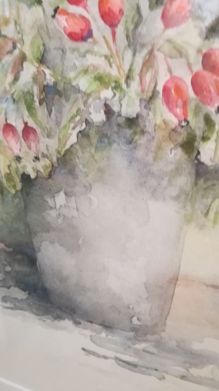 Jan Goselinck - aquarel - Rozenbottel kopen? Bied vanaf 55!