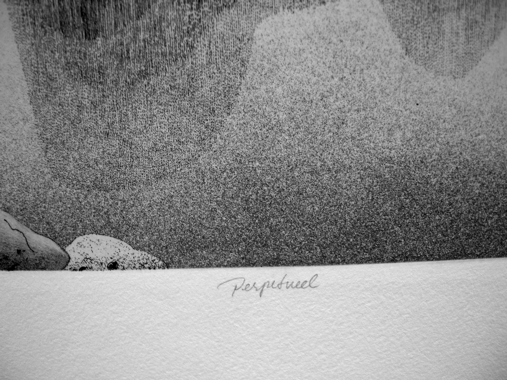 Gerard van Rooy, ets en aquatint: Perpetueel kopen? Bied vanaf 90!