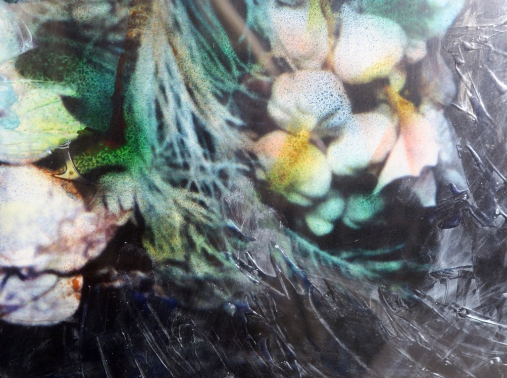 Franca Muller Jabusch: Handbewerkte foto, Fossiled memory - Ingelijst kopen? Bied vanaf 35!