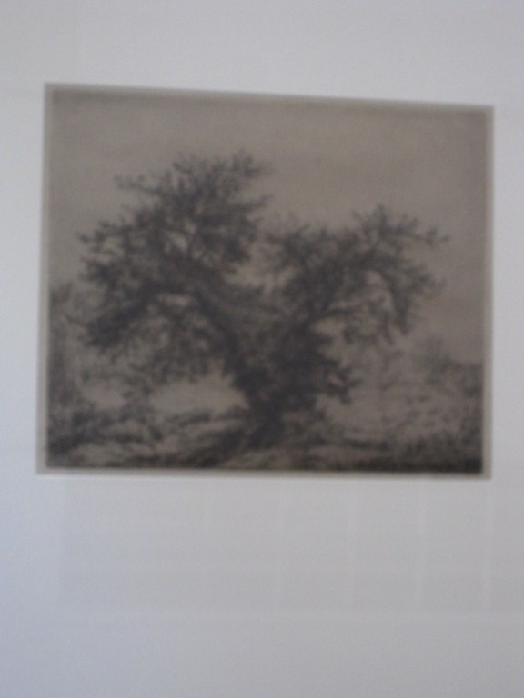 Originele J.C. Nachenius Ets "Duinlandschap met divi-divi boom" gesigneerd  kopen? Bied vanaf 1!