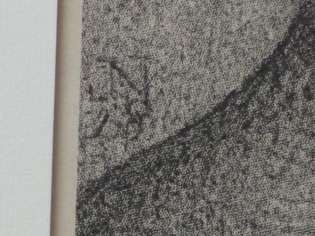 Jakob Nieweg, Portret dame, Litho kopen? Bied vanaf 35!