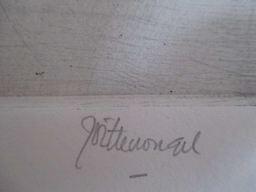 Wittevrongel, ets kopen? Bied vanaf 30!