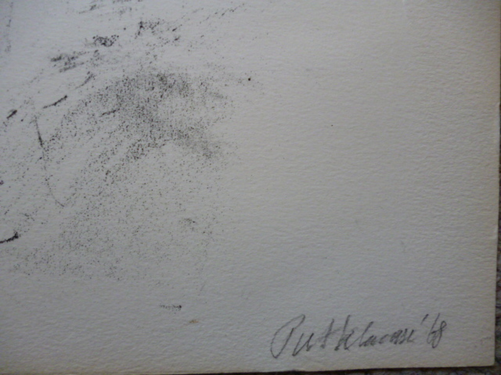 Piet Klaasse - litho - Stier kopen? Bied vanaf 40!