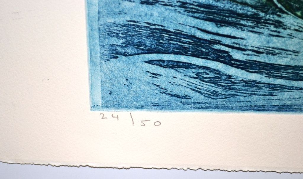 Jan Montijn: Kleurenets. Vogel/Vissen in Blauw kopen? Bied vanaf 100!