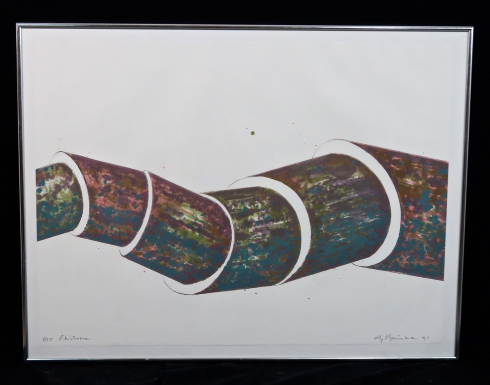Sjoerd Buisman: Litho, Rhizome - Ingelijst verkocht voor € 40!