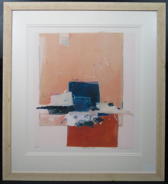 Ron van der Werf: Zeefdruk, Symfonie II - Ingelijst (groot) verkocht voor € 60!