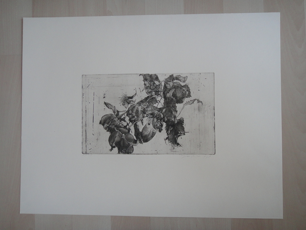 Jan Prins (1956) - (zeldzame) ets - tropische bloemen  kopen? Bied vanaf 1!