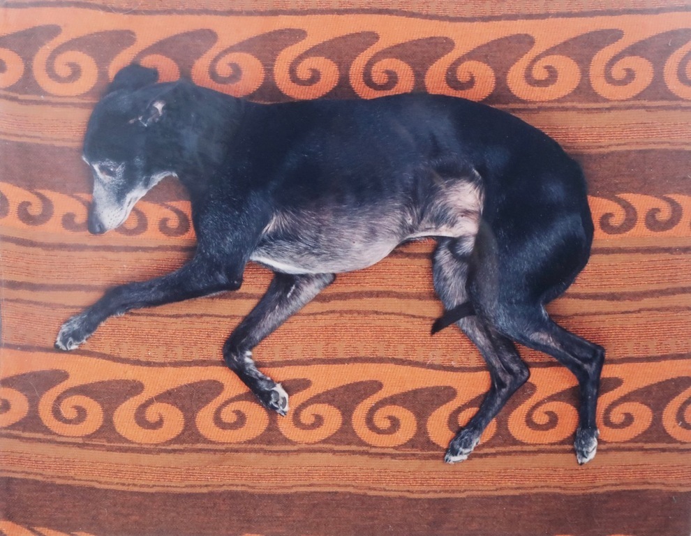 Maarten Wetsema: Foto, Rik op kleed - Ingelijst kopen? Bied vanaf 1!