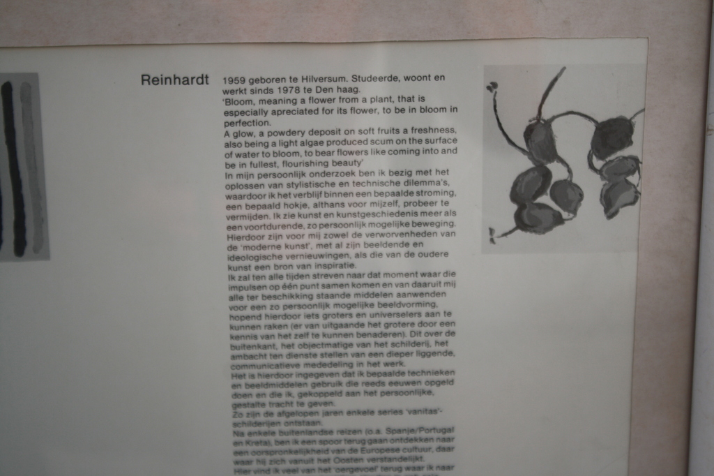 ZEEFDRUK MODERN  - REINHARDT kopen? Bied vanaf 1!