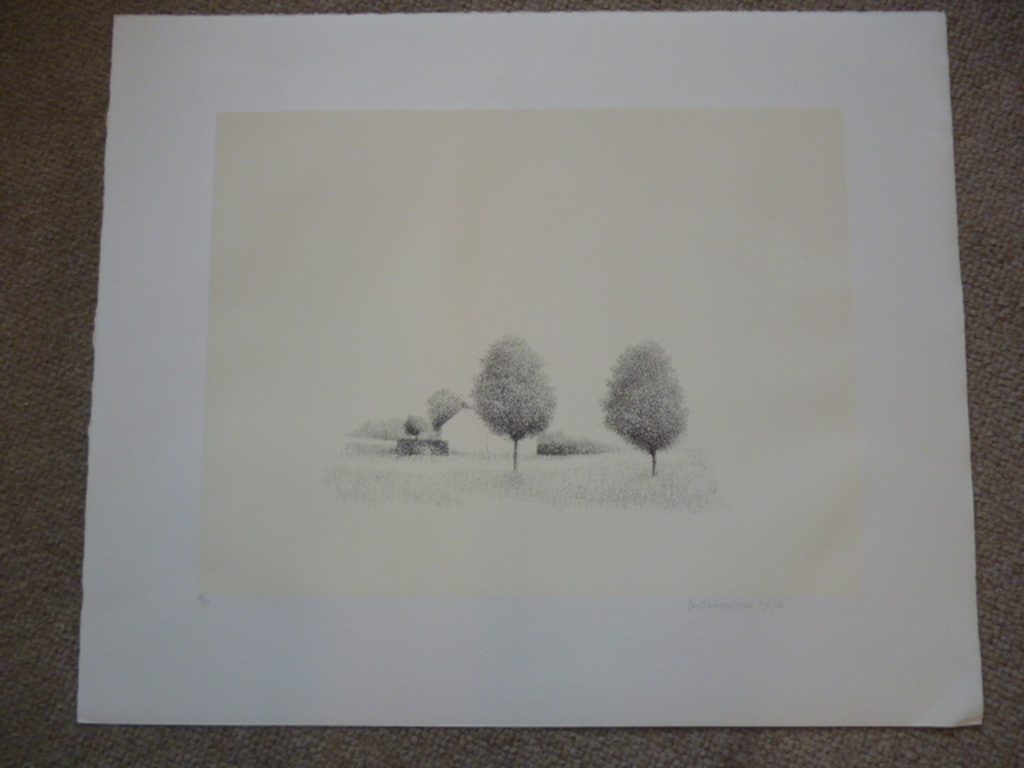 Bomen en heg bij huis verkocht voor € 65!