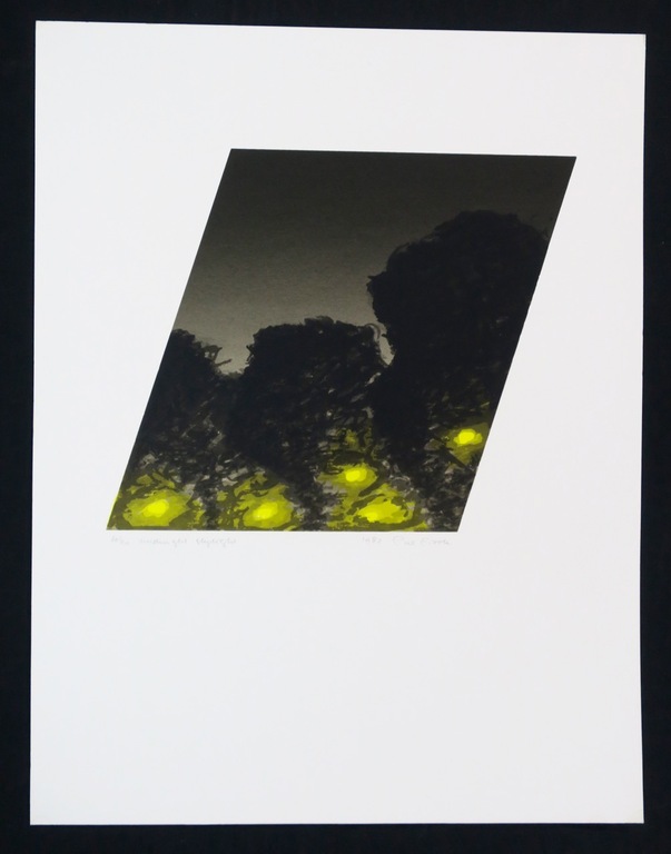 Piet Fioole: Zeefdruk, Midnight skylight kopen? Bied vanaf 1!